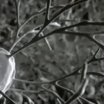 istockphoto-911698588-170667a