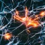 Neuron cells system disease - 3d rendered image of Neuron cell network on black background. Interconnected neurons cells with electrical pulses. Conceptual medical image.  Glowing synapse.  Healthcare, disease concept.